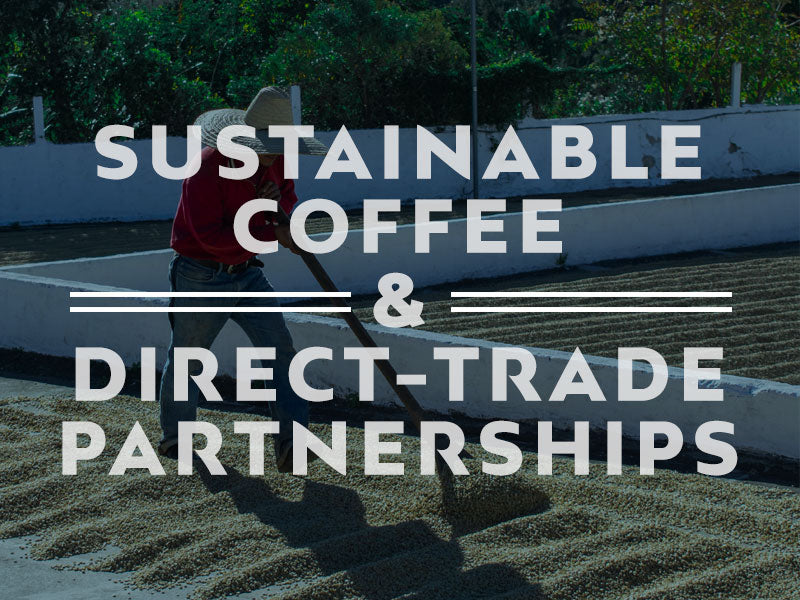 Sustainable Coffee & Direct Trade Partnerships
