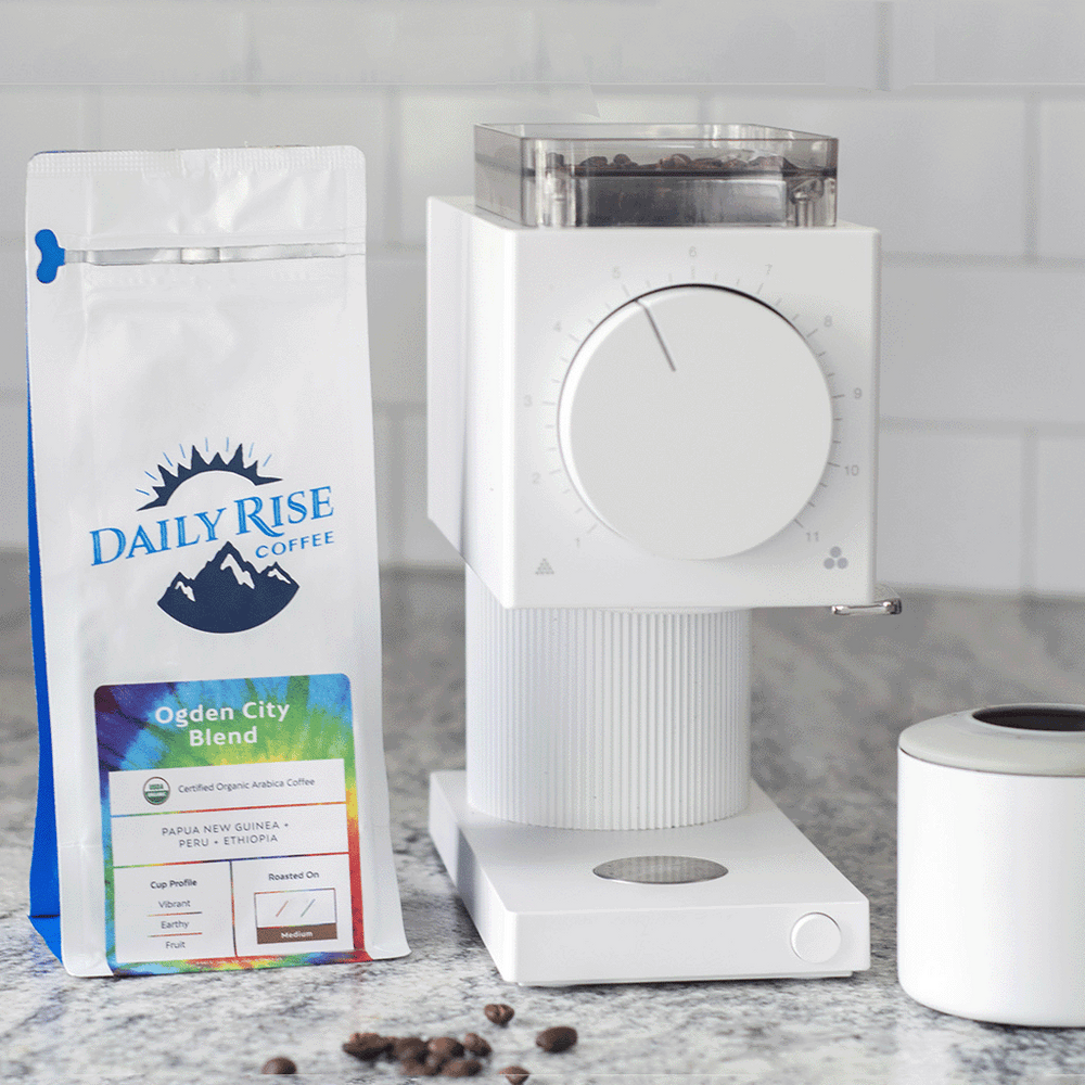 Fellow Ode Brew Grinder Daily Rise Coffee